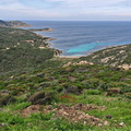 Calvi Belvedere de la Revallata 259