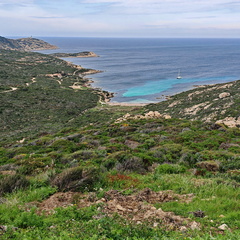 Calvi Belvedere de la Revallata 259