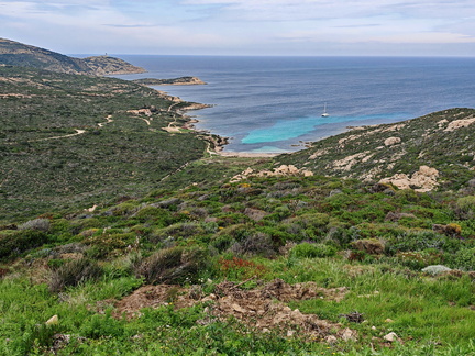 Calvi Belvedere de la Revallata 259