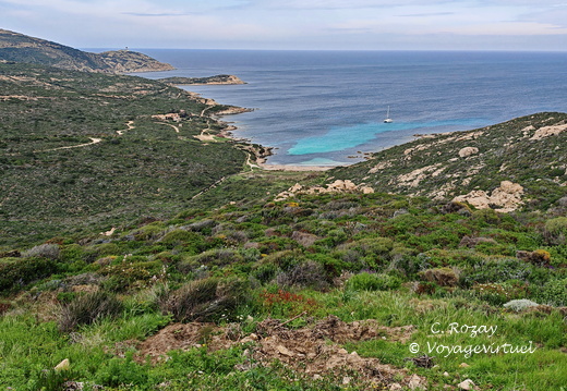 Calvi Belvedere de la Revallata 259