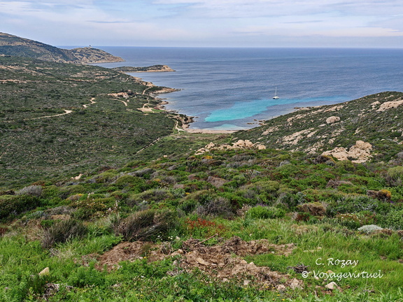 Calvi Belvedere de la Revallata 259