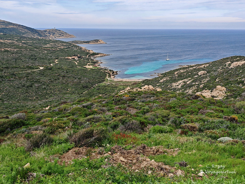 Calvi, Calvi Belvedere De La Revallata 259
