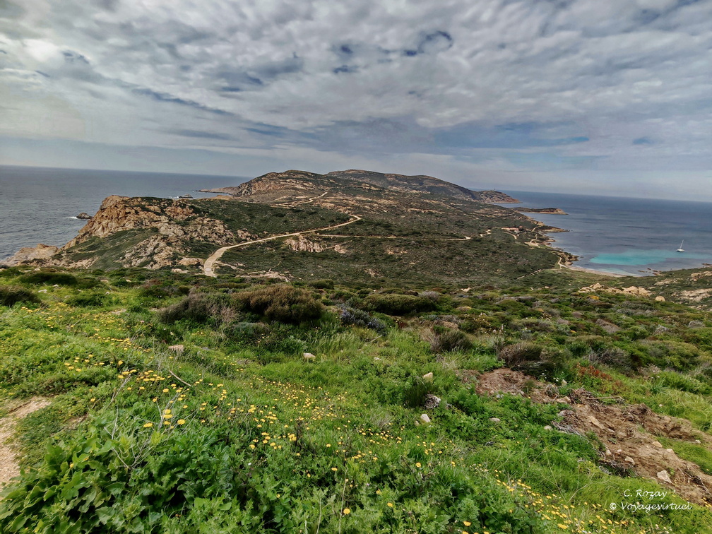 Calvi Belvedere de la Revallata 260