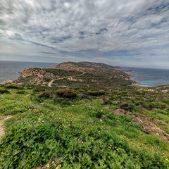 Calvi Belvedere de la Revallata 260