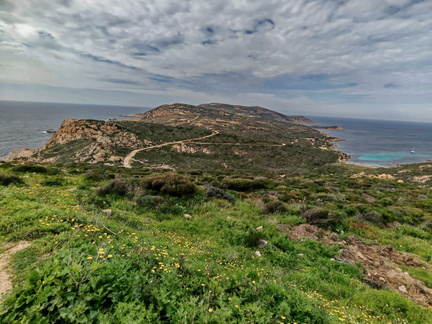 Calvi Belvedere de la Revallata 260