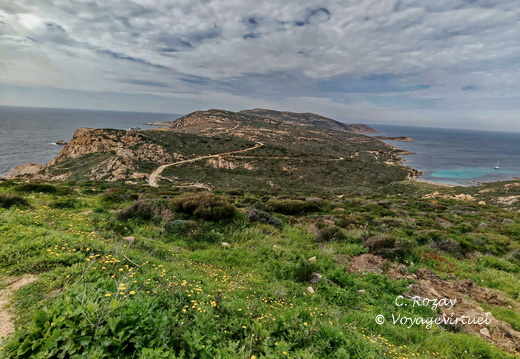 Calvi Belvedere de la Revallata 260