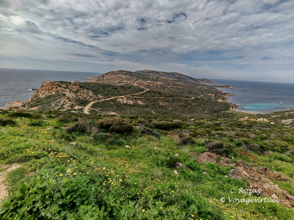 Calvi Belvedere de la Revallata 260