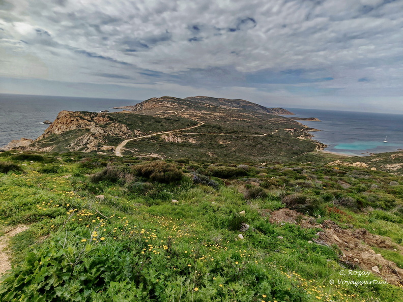 Calvi Belvedere de la Revallata 260