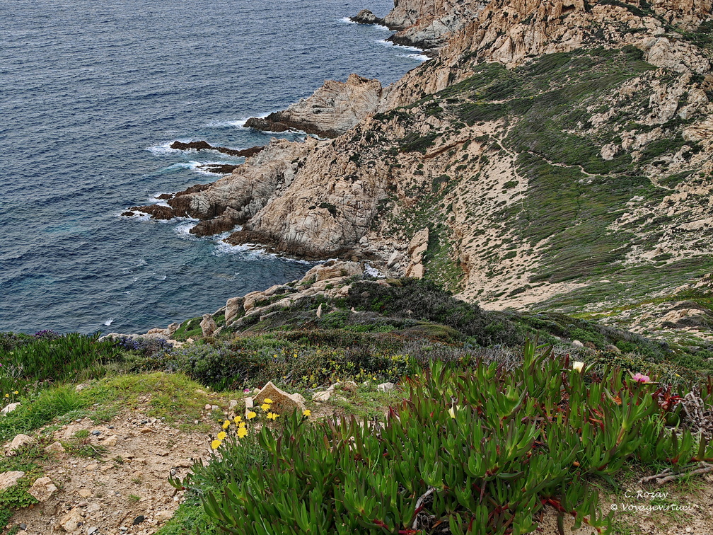 Calvi Belvedere de la Revallata 264