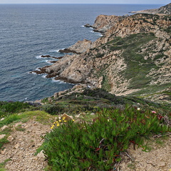 Calvi Belvedere de la Revallata 264