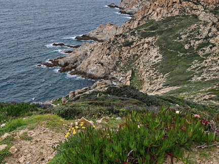 Calvi Belvedere de la Revallata 264