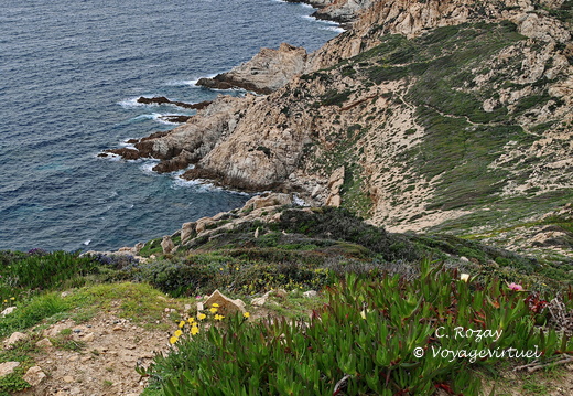 Calvi Belvedere de la Revallata 264