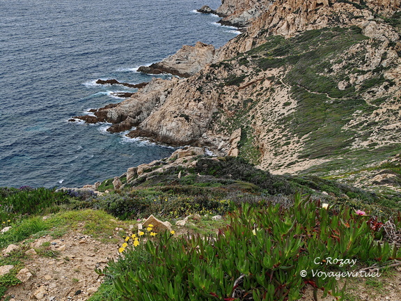 Calvi Belvedere de la Revallata 264