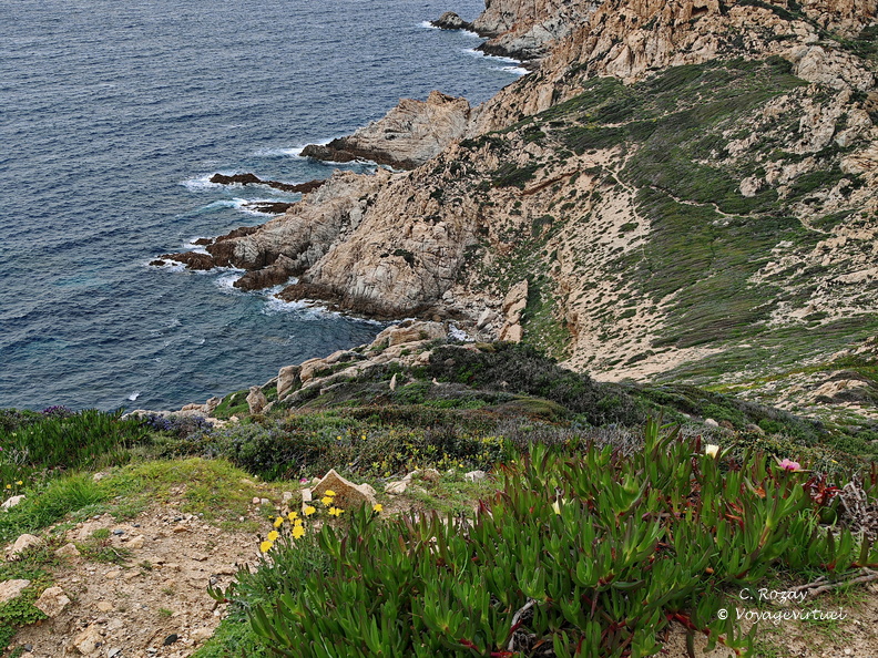 Calvi Belvedere de la Revallata 264