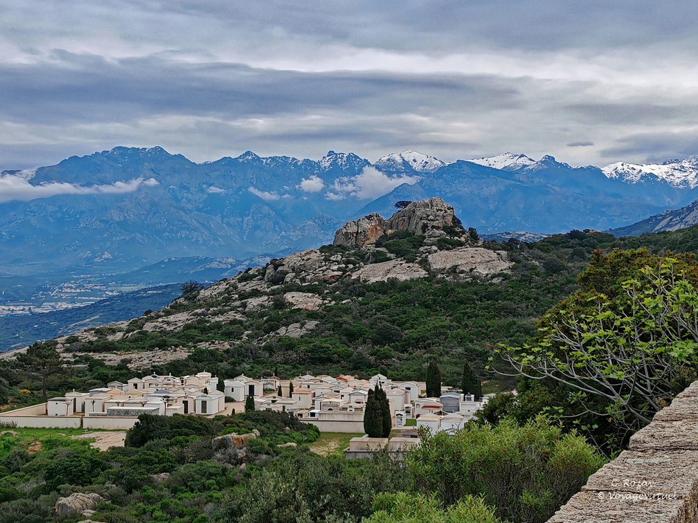 Calvi Cimetiere Notre Dame de la Serra 257