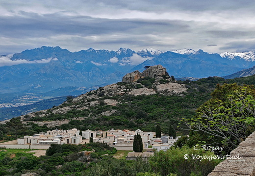 Calvi Cimetiere Notre Dame de la Serra 257