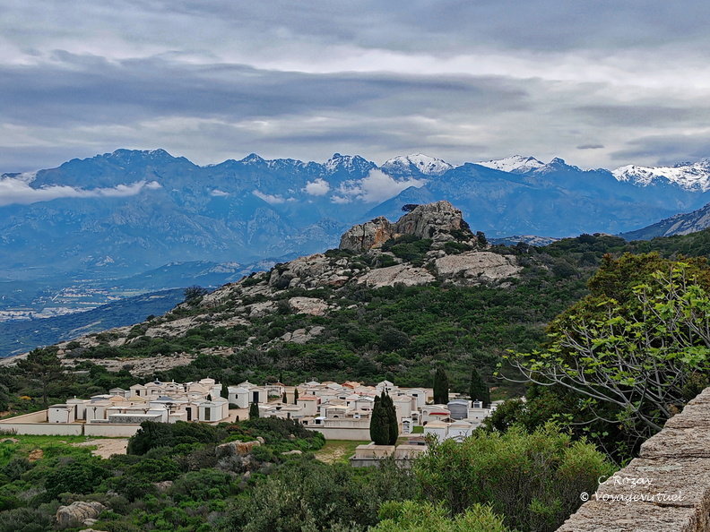 Calvi Cimetiere Notre Dame de la Serra 257