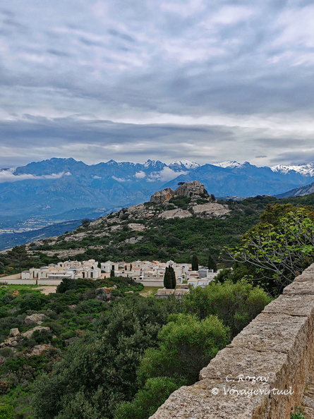 Calvi, Calvi Cimetiere Notre Dame De La Serra 257