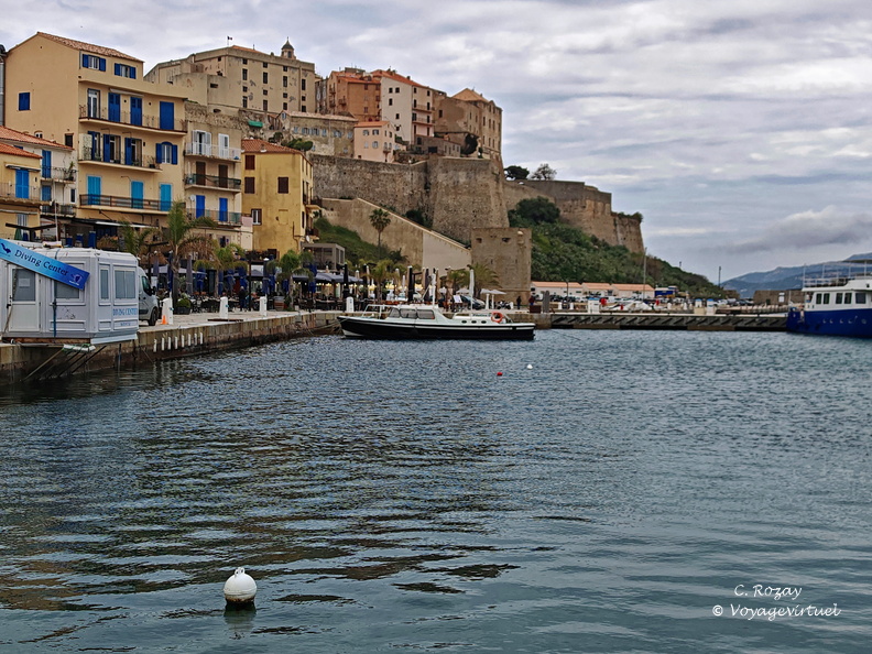 Calvi Le port au pied de la citadelle 243