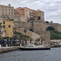 Calvi Port et citadelle 244