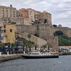 Calvi Port et citadelle 244