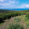 Barcaggio Campagne et ilot de Giraglia 116