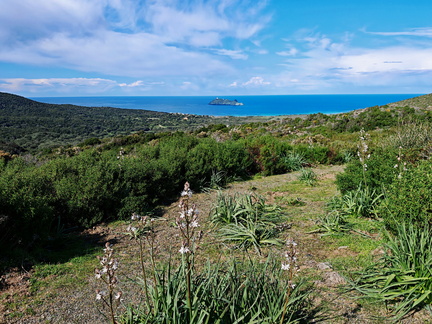 Barcaggio Campagne et ilot de Giraglia 116