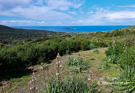Barcaggio Campagne et ilot de Giraglia 116