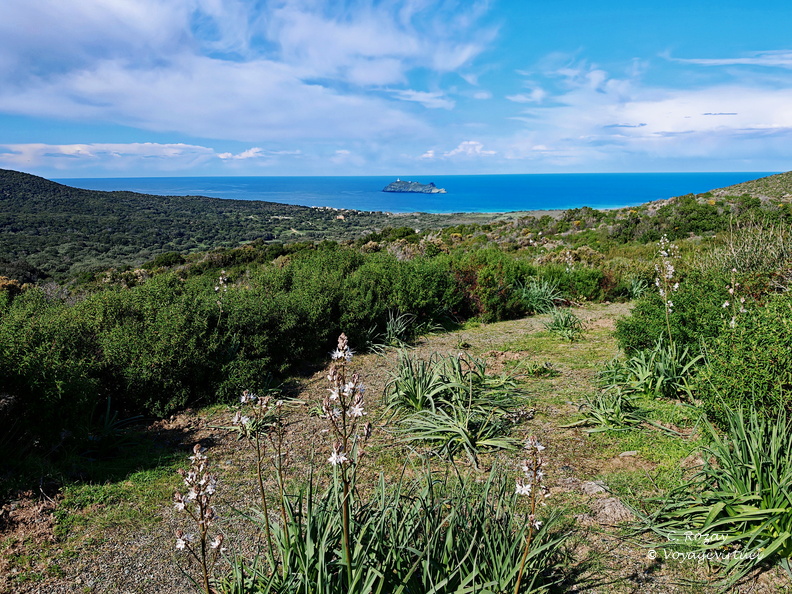 Barcaggio Campagne et ilot de Giraglia 116