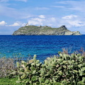 Barcaggio L'île de Giraglia 117