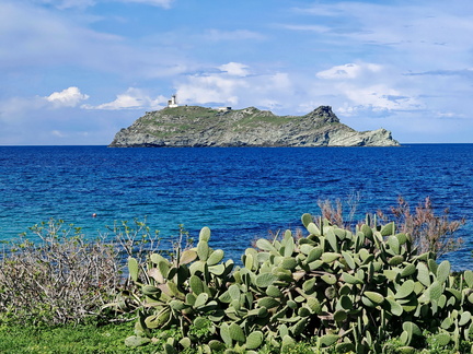 Barcaggio L'île de Giraglia 117