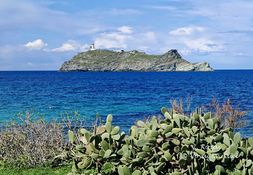 Barcaggio L'île de Giraglia 117