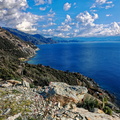 Canelle Le Cap corse en direction de St Florent 135