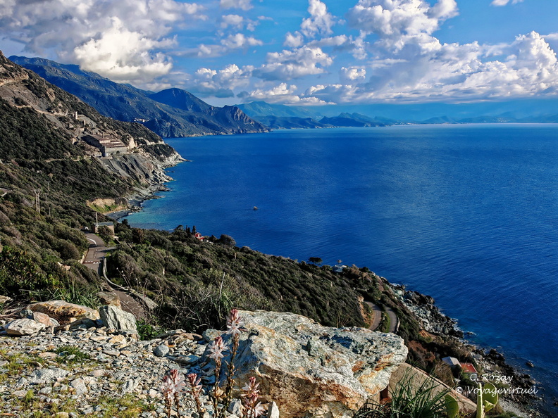 Canelle Le Cap corse en direction de St Florent 135