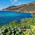 Centuri Cap Corse 125