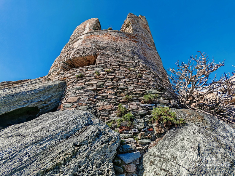 Erbalunga, la Tour Génoise côté nord, Brando. Cap Corse