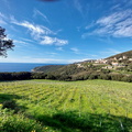 Mucchieta La vigne 127