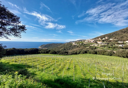 Mucchieta La vigne 127