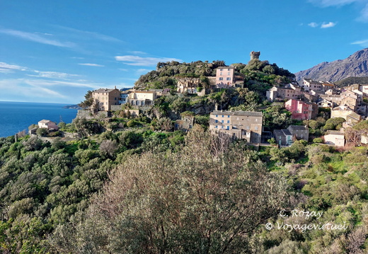 Nonza Village et tour genoise 145