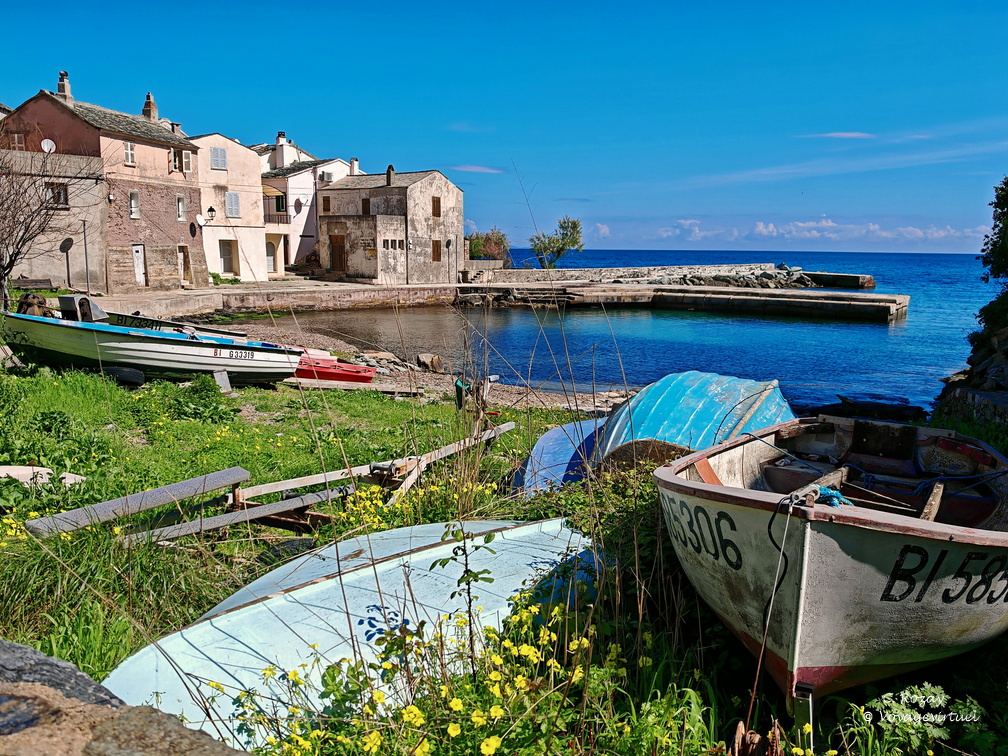 Porticciolo Le port 099