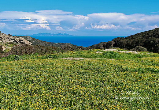 Rogliano Point de vue 109