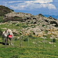 Rogliano Point de vue 112