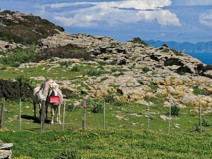 Rogliano Point de vue 112