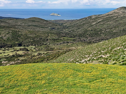 Rogliano Point de vue 114