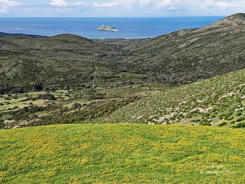 Rogliano Point de vue 114