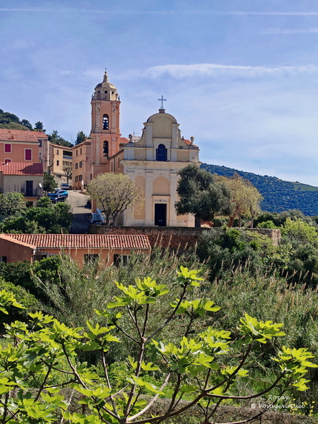 Cargese, Cargese Eglise De L Assomption 416