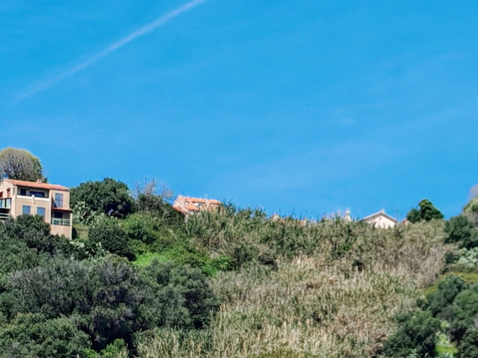 Cargese Les deux eglises 446