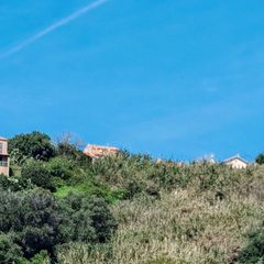 Cargese Les deux eglises 446