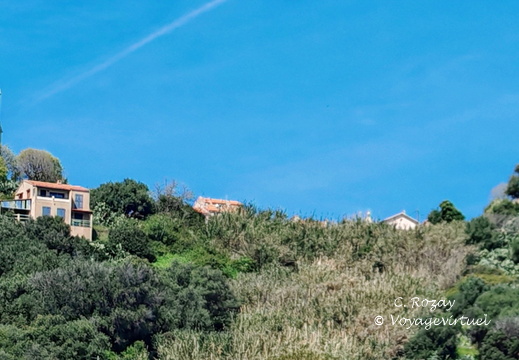 Cargese Les deux eglises 446