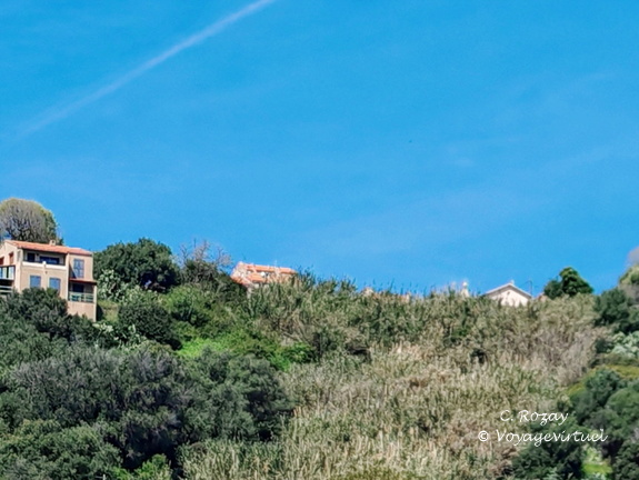 Cargese Les deux eglises 446